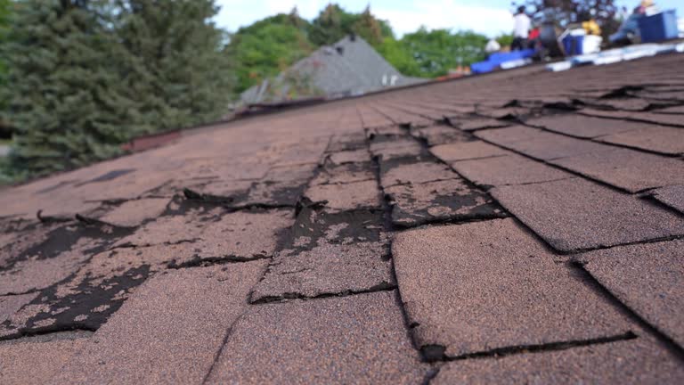 Best Slate Roofing  in West Carthage, NY